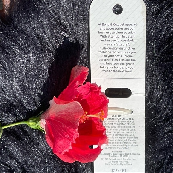 NWT Bond & Co Faux Leather Brown Printed Dog Collar Size L/XL - Picture 5 of 6